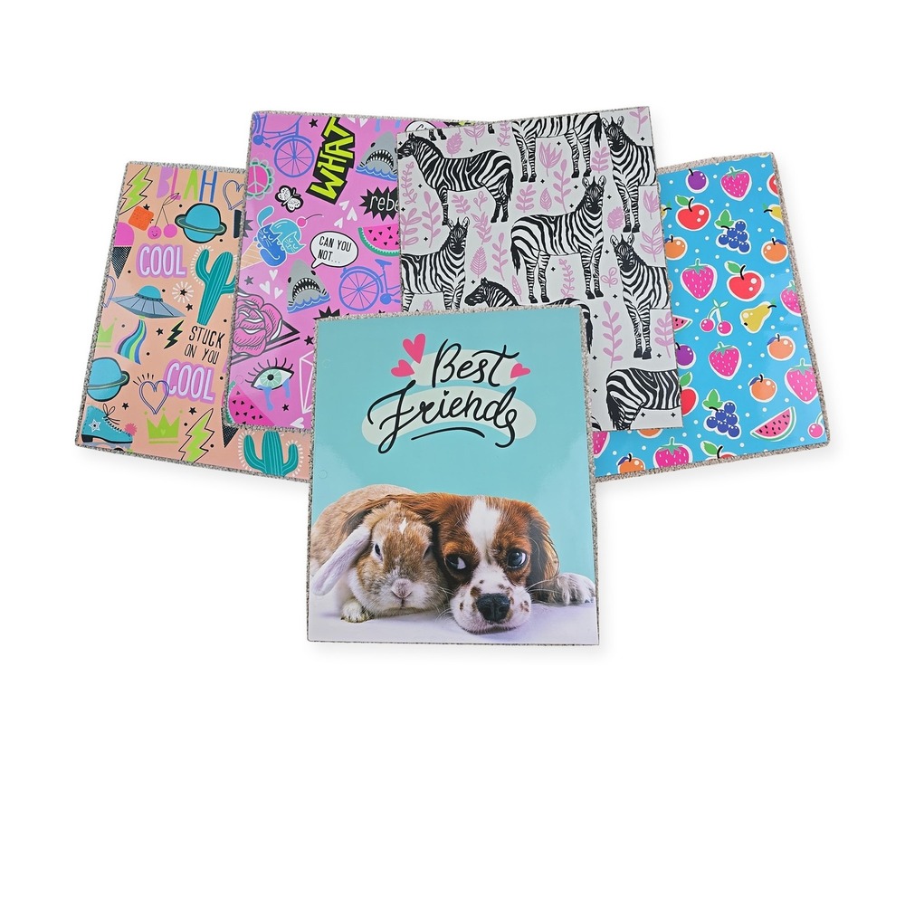Top Flight Bright Fun Pocket Folders Lot of 5 3 Ring Binder School New